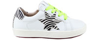 BLOGGY BLANC ZEBRA - Acebos