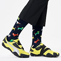 PUL016500 PUPPY LOVE HS - Happy Socks