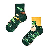 SOCKS THE DINOSAURS KIDS - Many Mornings